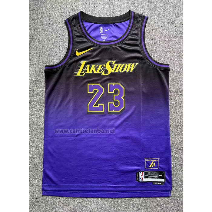Camiseta Los Angeles Lakers LeBron James #23 Ciudad 2024-25 Violeta